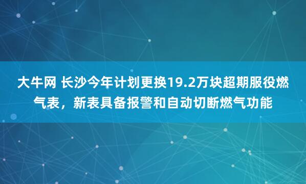 大牛网 长沙今年计划更换19.2万块超期服役燃气表，新表具备报警和自动切断燃气功能
